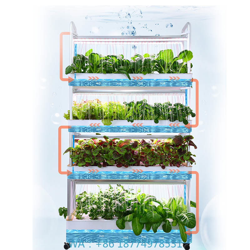 ydroponic Planting System Smar - Diy Home Automation System recension och pris